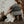 Load image into Gallery viewer, BLOOM Ball Cap