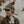 Load image into Gallery viewer, BLOOM Ball Cap