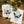 Load image into Gallery viewer, Insect Prints
