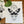 Load image into Gallery viewer, Insect Prints

